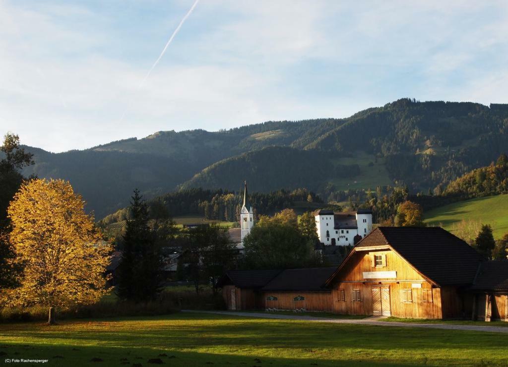 Biobergbauernhof Bergzeit Apartment In Goldegg Exterior photo